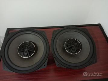 Coppia di woofer DUAL da 26 cm-Vintage