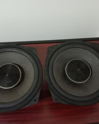Coppia di woofer DUAL da 26 cm-Vintage