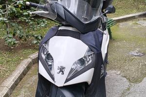 Peugeot GEOPOLIS 300 RS SPORT