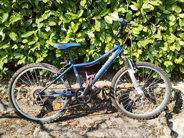 Bicicletta Mountain Bike