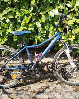 Bicicletta Mountain Bike