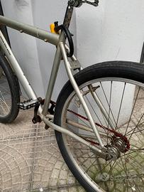 Bicicletta naked fat frank argento