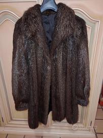 Pelliccia castoro