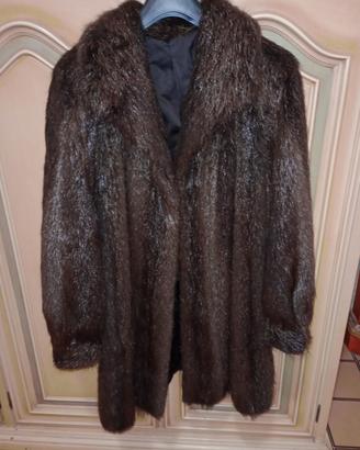 Pelliccia castoro