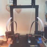 stampante 3d idex doppio estrusore