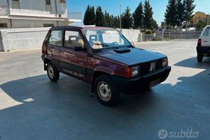 Panda sisley da vetrina