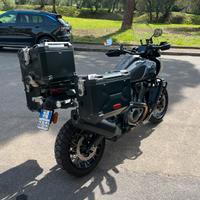 Harley Pan America 1250 special