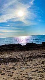 Montalto Marina appartamento