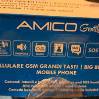 cellulare brondi amico gentile €30