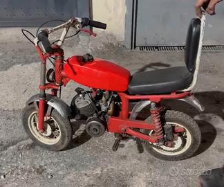 Mini bat baby cimatti