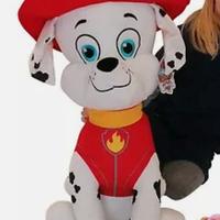 paw patrol