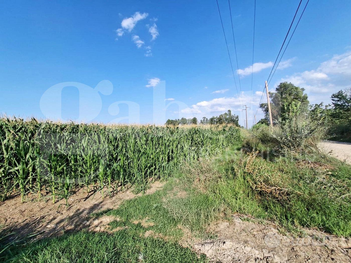 Terreno Agricolo Santa Maria la Fossa - Vista 3