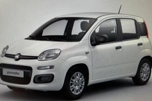 FIAT Panda 3ª serie Panda 1.0 FireFly S&S Hybr...