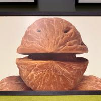 Armando Testa Nocero Umbro, 1991 - Vintage