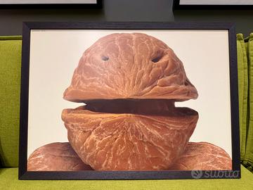 Armando Testa Nocero Umbro, 1991 - Vintage