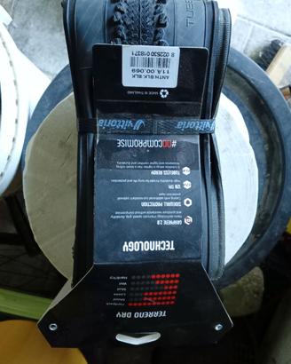 copertone vittoria terreno dry