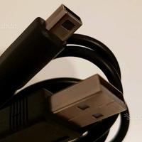 Cavo usb per nintendo
