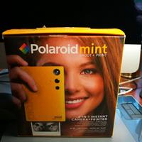 Polaroid mint