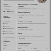 Lavoro Part-Time 2 Ore al Giorno (20:00 - 22:00)