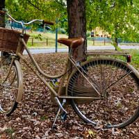 Bicicletta da passeggio da donna