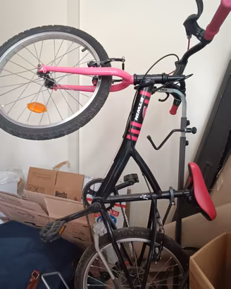 bicicletta