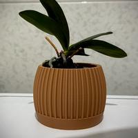 Portavaso Stile Moderno