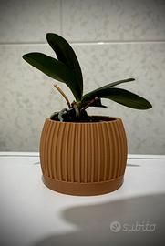 Portavaso Stile Moderno