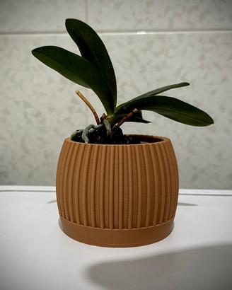 Portavaso Stile Moderno