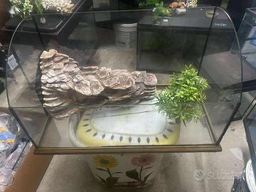 Tartarughiera / Acquario in Vetro con Roccia