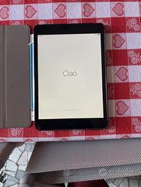 iPad mini mod A1455