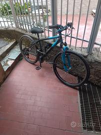bici ruote 24 