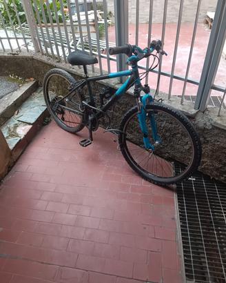 bici ruote 24 