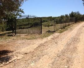 Terreno Baratti vicino mare