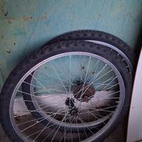 cerchi bici da 24