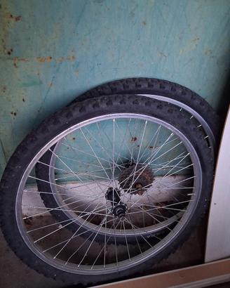 Cerchioni bici da 24 pollici