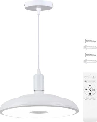 Lampadario a LED da 28CM a Sospensione con altopar
