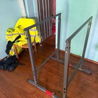 Parallele per dips professionali Calistenics