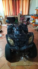 quad 250
