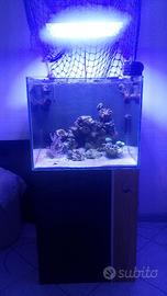 acquario marino