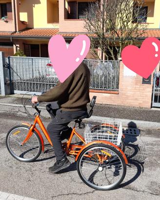 Bicicletta a Tre Ruote
