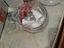 Immagine 4