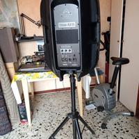 impianto audio professionale 