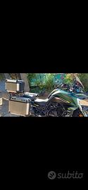moto  Benelli TRK  702