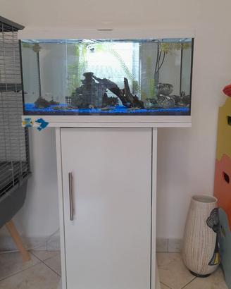 Acquario usato con mobile