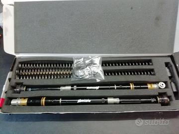 Cartucce pressurizzate Andreani per Kawasaki ZX10R