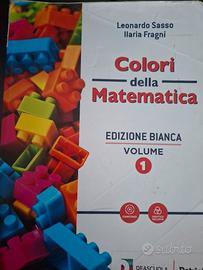 colori della matematica 