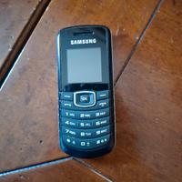 Cellulare Samsung E1080