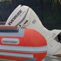 Evinrude etec 40/60