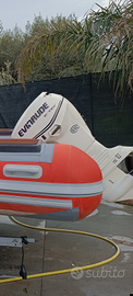 Evinrude etec 40/60