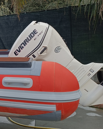 Evinrude etec 40/60